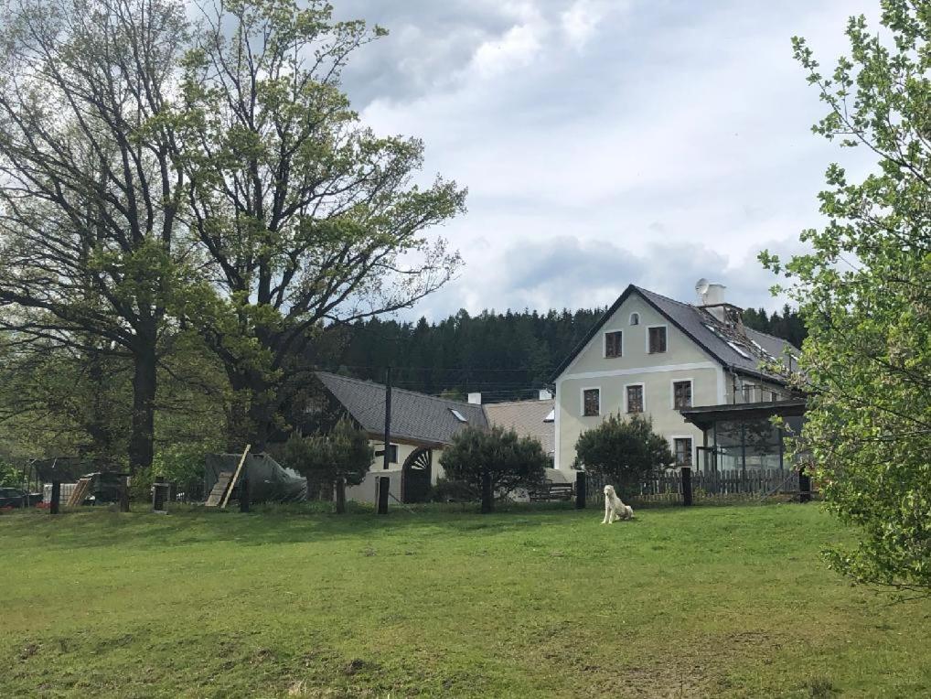 Apartman Malsin Bagian luar foto